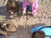 20110919-20110919-Ausflug Tongrube (36)